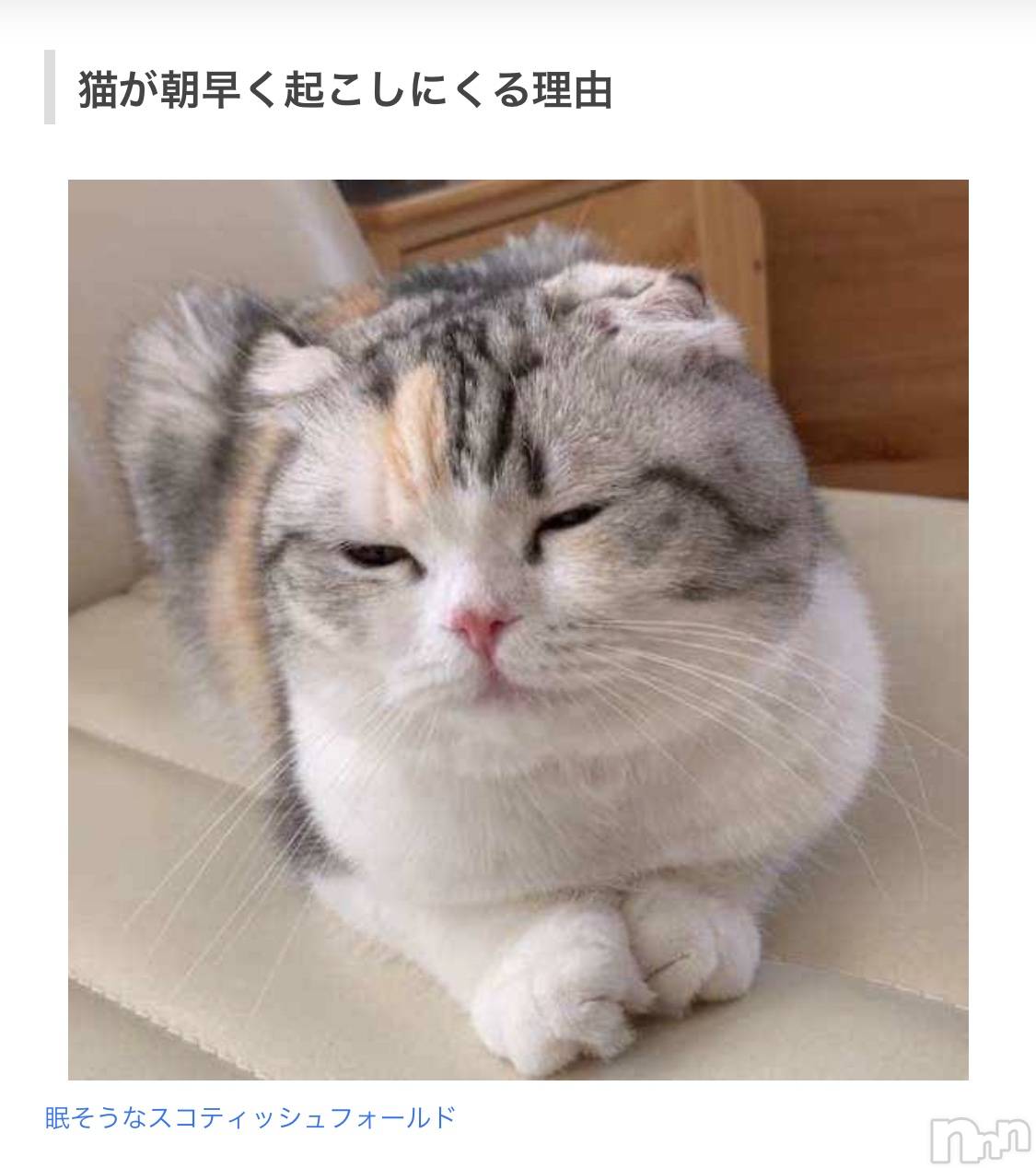 ƲХ顦ֲ֥ڲСݣȣΣ£ɡ(֥ϥʥ) 2020ǯ521̥֥521 2317ʬμ̥֥