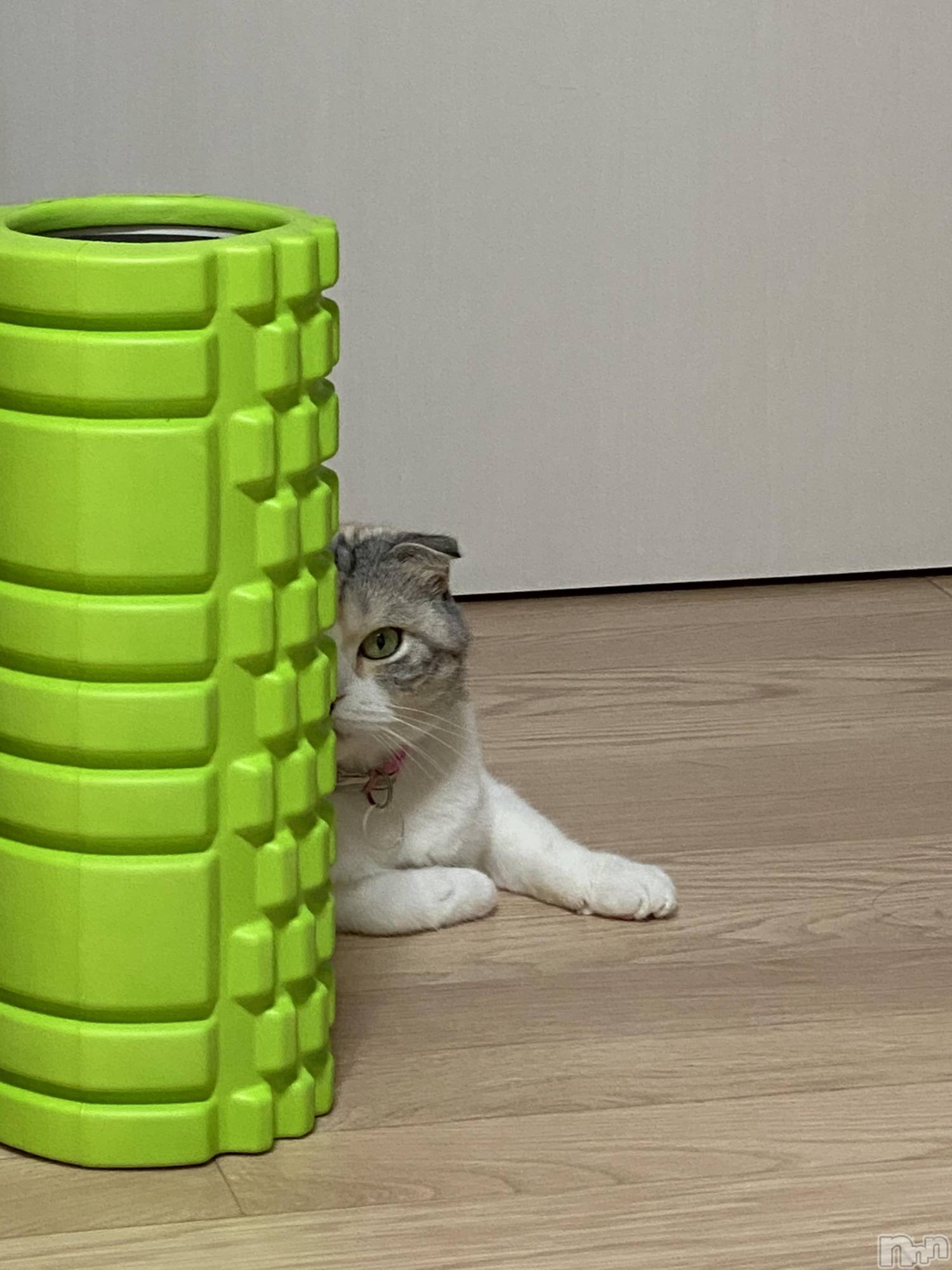 ƲХ顦ֲ֥ڲСݣȣΣ£ɡ(֥ϥʥ) 2020ǯ915̥֥915 1831ʬμ̥֥