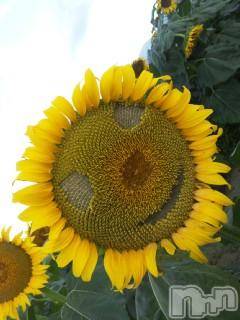 ��Ʋ����Х��顦����֥���ֲڲСݣȣ��Σ��£ɡ�(����֥ϥʥ�) �����6��26���̥�֥�����6��25����