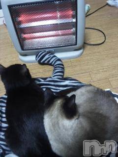 ��Ʋ����Х��顦����֥���ֲڲСݣȣ��Σ��£ɡ�(����֥ϥʥ�) �����7��11���̥�֥�����7��10����