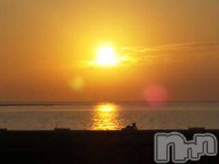 ��Ʋ����Х��顦����֥���ֲڲСݣȣ��Σ��£ɡ�(����֥ϥʥ�) �����7��16���̥�֥�����7��15����