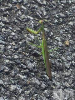 ��Ʋ����Х��顦����֥���ֲڲСݣȣ��Σ��£ɡ�(����֥ϥʥ�) �����10��18���̥�֥�����10��18�� 02��44ʬ�μ̥�֥�����