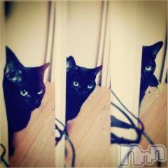 ��Ʋ����Х��顦����֥���ֲڲСݣȣ��Σ��£ɡ�(����֥ϥʥ�) �����10��22���̥�֥�����10��22�� 12��22ʬ�μ̥�֥�����