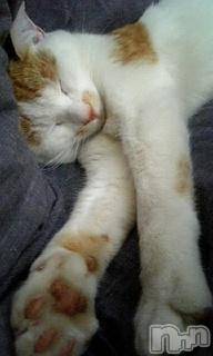 ��Ʋ����Х��顦����֥���ֲڲСݣȣ��Σ��£ɡ�(����֥ϥʥ�) �����10��29���̥�֥�����10��29�� 05��29ʬ�μ̥�֥�����