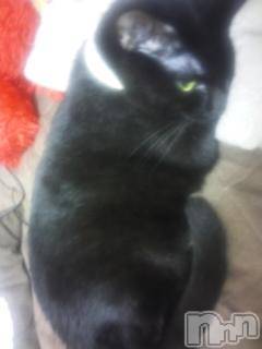 ��Ʋ����Х��顦����֥���ֲڲСݣȣ��Σ��£ɡ�(����֥ϥʥ�) �����1��1���̥�֥�����1��1�� 22��45ʬ�μ̥�֥�����