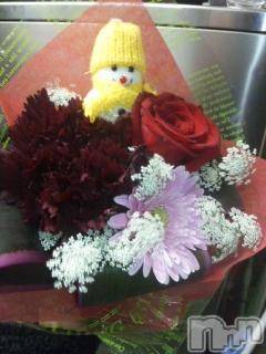 ��Ʋ����Х��顦����֥���ֲڲСݣȣ��Σ��£ɡ�(����֥ϥʥ�) �����1��7���̥�֥�����1��7�� 10��11ʬ�μ̥�֥�����