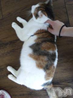 ��Ʋ����Х��顦����֥���ֲڲСݣȣ��Σ��£ɡ�(����֥ϥʥ�) �����2��9���̥�֥�����2��9�� 19��41ʬ�μ̥�֥�����