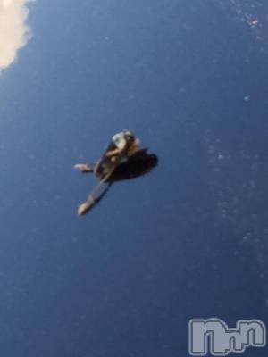 ��Ʋ����Х��顦����֥���ֲڲСݣȣ��Σ��£ɡ�(����֥ϥʥ�) �����5��13���̥�֥�����5��13�� 21��47ʬ�μ̥�֥�����