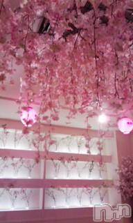 ��Ʋ����Х��顦����֥���ֲڲСݣȣ��Σ��£ɡ�(����֥ϥʥ�) �����9��8���̥�֥�����9��8�� 15��11ʬ�μ̥�֥�����