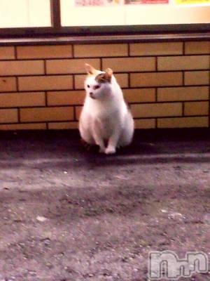 ��Ʋ����Х��顦����֥���ֲڲСݣȣ��Σ��£ɡ�(����֥ϥʥ�) �����9��26���̥�֥�����9��26�� 21��15ʬ�μ̥�֥�����