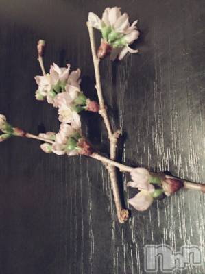 ��Ʋ����Х��顦����֥���ֲڲСݣȣ��Σ��£ɡ�(����֥ϥʥ�) �����3��22���̥�֥�����3��22�� 04��39ʬ�μ̥�֥�����