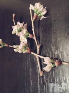 ��Ʋ����Х��顦����֥���ֲڲСݣȣ��Σ��£ɡ�(����֥ϥʥ�) �����4��12���̥�֥�����4��12�� 04��24ʬ�μ̥�֥�����