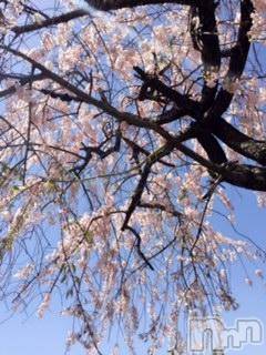 ��Ʋ����Х��顦����֥���ֲڲСݣȣ��Σ��£ɡ�(����֥ϥʥ�) �����4��21���̥�֥�����4��21�� 04��29ʬ�μ̥�֥�����