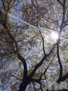 ��Ʋ����Х��顦����֥���ֲڲСݣȣ��Σ��£ɡ�(����֥ϥʥ�) �����4��24���̥�֥�����4��24�� 03��39ʬ�μ̥�֥�����