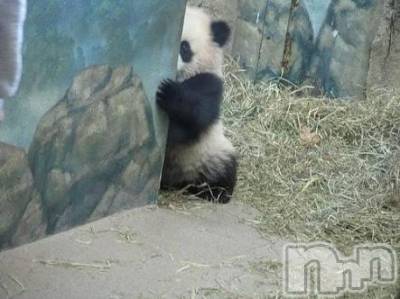 ��Ʋ����Х��顦����֥���ֲڲСݣȣ��Σ��£ɡ�(����֥ϥʥ�) �����8��26���̥�֥�����8��26�� 01��48ʬ�μ̥�֥�����