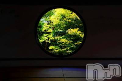 ��Ʋ����Х��顦����֥���ֲڲСݣȣ��Σ��£ɡ�(����֥ϥʥ�) �����11��14���̥�֥�����11��14�� 02��57ʬ�μ̥�֥�����