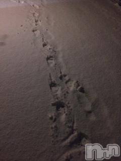 ��Ʋ����Х��顦����֥���ֲڲСݣȣ��Σ��£ɡ�(����֥ϥʥ�) �����1��14���̥�֥�����1��14�� 19��48ʬ�μ̥�֥�����