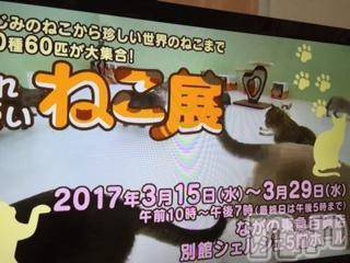 ��Ʋ����Х��顦����֥���ֲڲСݣȣ��Σ��£ɡ�(����֥ϥʥ�) �����2��8���̥�֥�����2��8�� 00��51ʬ�μ̥�֥�����