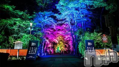 ��Ʋ����Х��顦����֥���ֲڲСݣȣ��Σ��£ɡ�(����֥ϥʥ�) �����2��24���̥�֥�����2��24�� 19��06ʬ�μ̥�֥�����