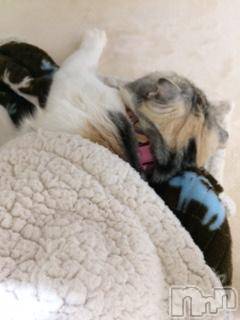 ��Ʋ����Х��顦����֥���ֲڲСݣȣ��Σ��£ɡ�(����֥ϥʥ�) �����4��22���̥�֥�����4��22�� 02��53ʬ�μ̥�֥�����