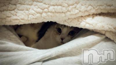 ��Ʋ����Х��顦����֥���ֲڲСݣȣ��Σ��£ɡ�(����֥ϥʥ�) �����5��4���̥�֥�����5��4�� 02��02ʬ�μ̥�֥�����