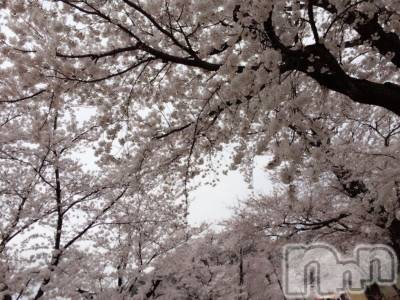 ��Ʋ����Х��顦����֥���ֲڲСݣȣ��Σ��£ɡ�(����֥ϥʥ�) �����5��18���̥�֥�����5��18�� 01��59ʬ�μ̥�֥�����