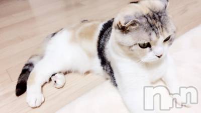 ��Ʋ����Х��顦����֥���ֲڲСݣȣ��Σ��£ɡ�(����֥ϥʥ�) �����6��12���̥�֥�����6��12�� 01��24ʬ�μ̥�֥�����