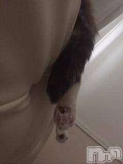 ��Ʋ����Х��顦����֥���ֲڲСݣȣ��Σ��£ɡ�(����֥ϥʥ�) �����7��4���̥�֥�����7��4�� 00��20ʬ�μ̥�֥�����