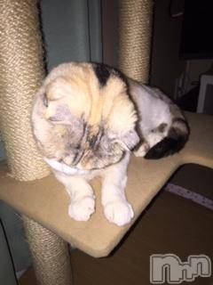 ��Ʋ����Х��顦����֥���ֲڲСݣȣ��Σ��£ɡ�(����֥ϥʥ�) �����7��5���̥�֥�����7��5�� 01��56ʬ�μ̥�֥�����