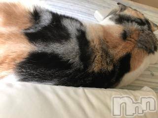 ��Ʋ����Х��顦����֥���ֲڲСݣȣ��Σ��£ɡ�(����֥ϥʥ�) �����7��17���̥�֥�����7��17�� 23��27ʬ�μ̥�֥�����