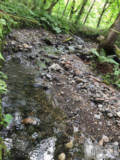 ��Ʋ����Х��顦����֥���ֲڲСݣȣ��Σ��£ɡ�(����֥ϥʥ�) �����7��26���̥�֥�����7��26�� 00��14ʬ�μ̥�֥�����