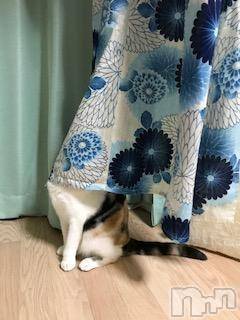 ��Ʋ����Х��顦����֥���ֲڲСݣȣ��Σ��£ɡ�(����֥ϥʥ�) �����7��29���̥�֥�����7��29�� 03��41ʬ�μ̥�֥�����