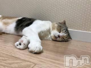 ��Ʋ����Х��顦����֥���ֲڲСݣȣ��Σ��£ɡ�(����֥ϥʥ�) �����8��9���̥�֥�����8��9�� 00��02ʬ�μ̥�֥�����