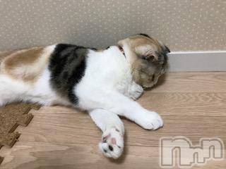 ��Ʋ����Х��顦����֥���ֲڲСݣȣ��Σ��£ɡ�(����֥ϥʥ�) �����8��12���̥�֥�����8��12�� 02��33ʬ�μ̥�֥�����