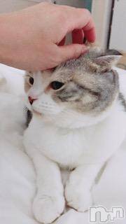 ��Ʋ����Х��顦����֥���ֲڲСݣȣ��Σ��£ɡ�(����֥ϥʥ�) �����10��22���̥�֥�����10��22�� 04��42ʬ�μ̥�֥�����