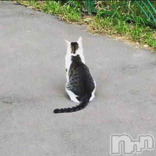 ��Ʋ����Х��顦����֥���ֲڲСݣȣ��Σ��£ɡ�(����֥ϥʥ�) �����10��24���̥�֥�����10��24�� 21��39ʬ�μ̥�֥�����