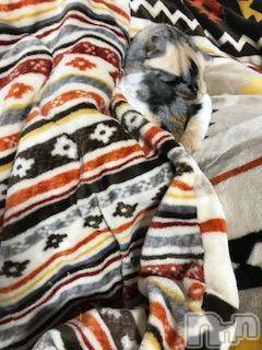 ��Ʋ����Х��顦����֥���ֲڲСݣȣ��Σ��£ɡ�(����֥ϥʥ�) �����10��30���̥�֥�����10��30�� 03��26ʬ�μ̥�֥�����