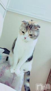 ��Ʋ����Х��顦����֥���ֲڲСݣȣ��Σ��£ɡ�(����֥ϥʥ�) �����11��28���̥�֥�����11��28�� 01��58ʬ�μ̥�֥�����