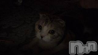 ��Ʋ����Х��顦����֥���ֲڲСݣȣ��Σ��£ɡ�(����֥ϥʥ�) �����12��10���̥�֥�����12��10�� 08��06ʬ�μ̥�֥�����