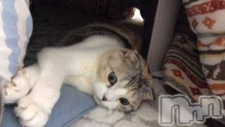 ��Ʋ����Х��顦����֥���ֲڲСݣȣ��Σ��£ɡ�(����֥ϥʥ�) �����12��17���̥�֥�����12��17�� 05��24ʬ�μ̥�֥�����