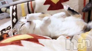 ��Ʋ����Х��顦����֥���ֲڲСݣȣ��Σ��£ɡ�(����֥ϥʥ�) �����12��18���̥�֥�����12��18�� 00��57ʬ�μ̥�֥�����