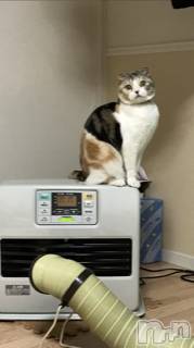 ��Ʋ����Х��顦����֥���ֲڲСݣȣ��Σ��£ɡ�(����֥ϥʥ�) �����12��28���̥�֥�����12��28�� 04��39ʬ�μ̥�֥�����