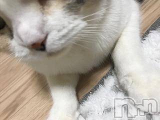 ��Ʋ����Х��顦����֥���ֲڲСݣȣ��Σ��£ɡ�(����֥ϥʥ�) �����12��29���̥�֥�����12��29�� 04��19ʬ�μ̥�֥�����