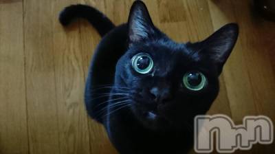 ��Ʋ����Х��顦����֥���ֲڲСݣȣ��Σ��£ɡ�(����֥ϥʥ�) �����1��10���̥�֥�����1��10�� 19��56ʬ�μ̥�֥�����