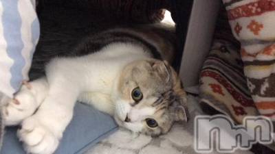 ��Ʋ����Х��顦����֥���ֲڲСݣȣ��Σ��£ɡ�(����֥ϥʥ�) �����1��29���̥�֥�����1��29�� 04��49ʬ�μ̥�֥�����