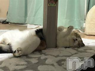 ��Ʋ����Х��顦����֥���ֲڲСݣȣ��Σ��£ɡ�(����֥ϥʥ�) �����2��2���̥�֥�����2��2�� 18��58ʬ�μ̥�֥�����