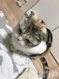 ��Ʋ����Х��顦����֥���ֲڲСݣȣ��Σ��£ɡ�(����֥ϥʥ�) �����2��12���̥�֥�����2��12�� 02��55ʬ�μ̥�֥�����