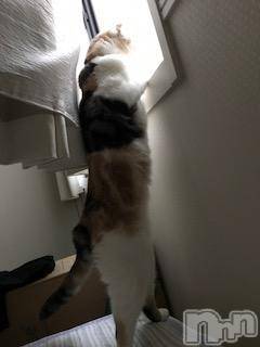 ��Ʋ����Х��顦����֥���ֲڲСݣȣ��Σ��£ɡ�(����֥ϥʥ�) �����2��13���̥�֥�����2��13�� 01��36ʬ�μ̥�֥�����