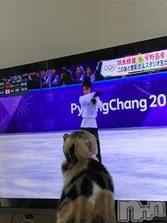 ��Ʋ����Х��顦����֥���ֲڲСݣȣ��Σ��£ɡ�(����֥ϥʥ�) �����2��18���̥�֥�����2��18�� 19��42ʬ�μ̥�֥�����