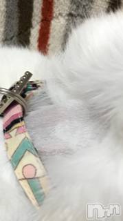 ��Ʋ����Х��顦����֥���ֲڲСݣȣ��Σ��£ɡ�(����֥ϥʥ�) �����2��22���̥�֥�����2��22�� 19��17ʬ�μ̥�֥�����